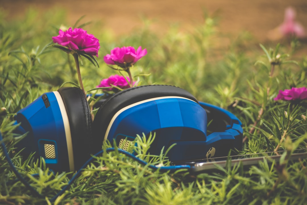 Blue headphones on the ground with pink flowers in the background