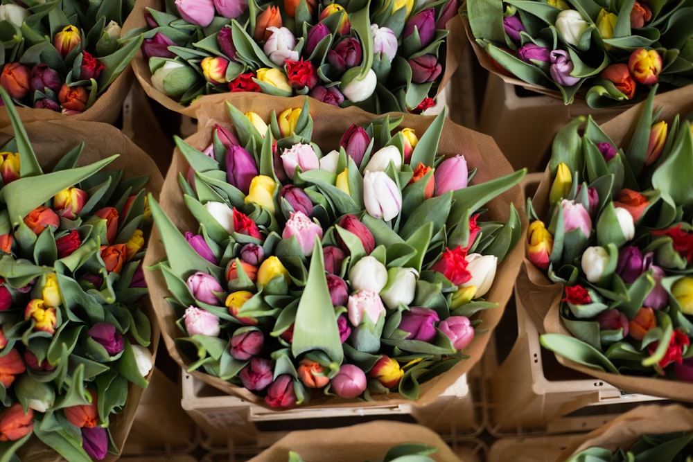 flor de tulipán en caja