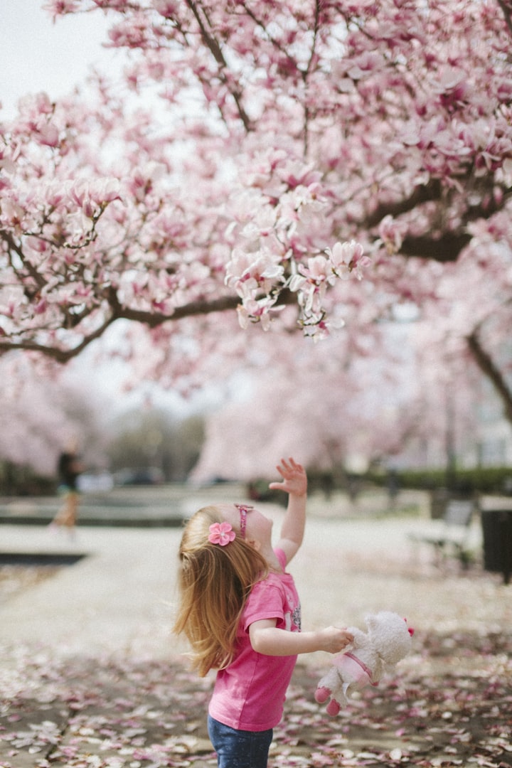 5 Fun Spring Activities to Enjoy With Your Family
