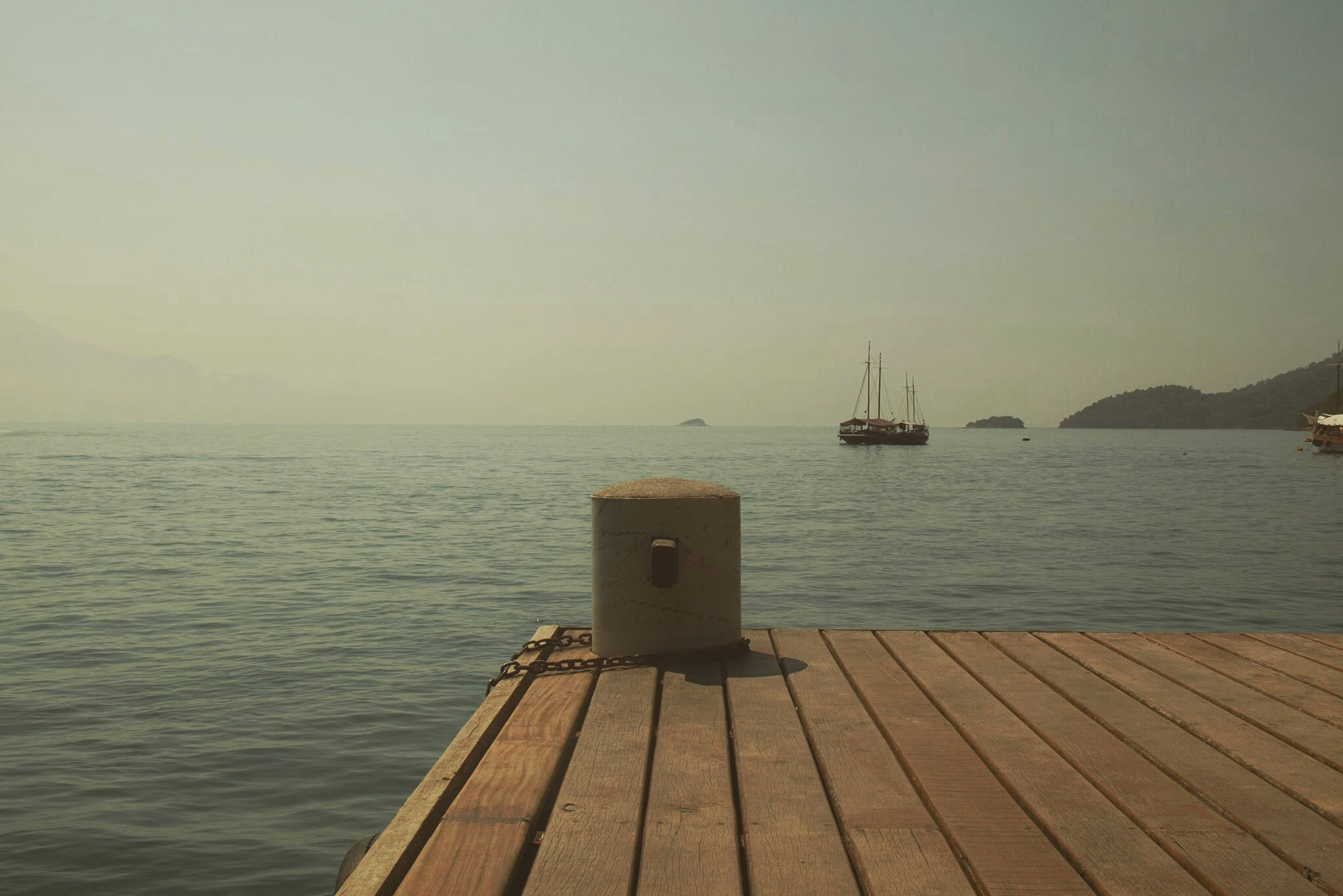 Free Unsplash photo from Carina Coan