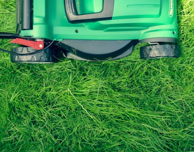 green and black lawnmower on green grass