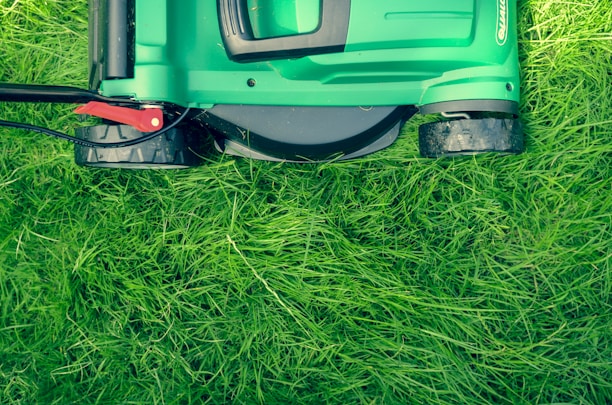 A lawn mower is positioned on a patch of lush, green grass, showcasing the machine's green and black exterior with a red lever on the side.