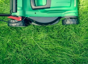 green and black lawnmower on green grass