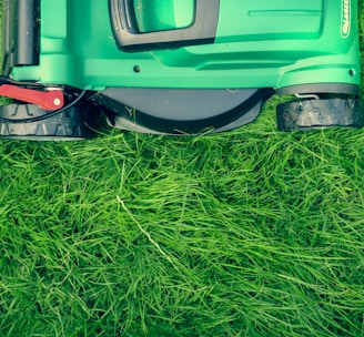 green and black lawnmower on green grass