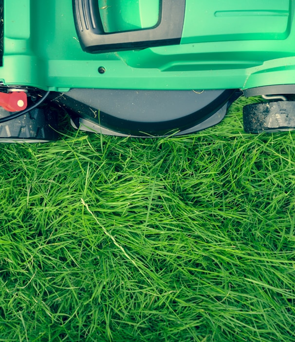 green and black lawnmower on green grass