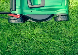 green and black lawnmower on green grass