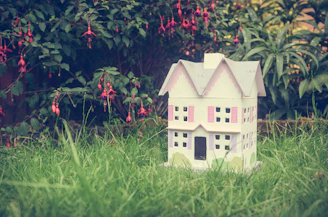 Intricate miniature DIY house with tiny furniture and plants