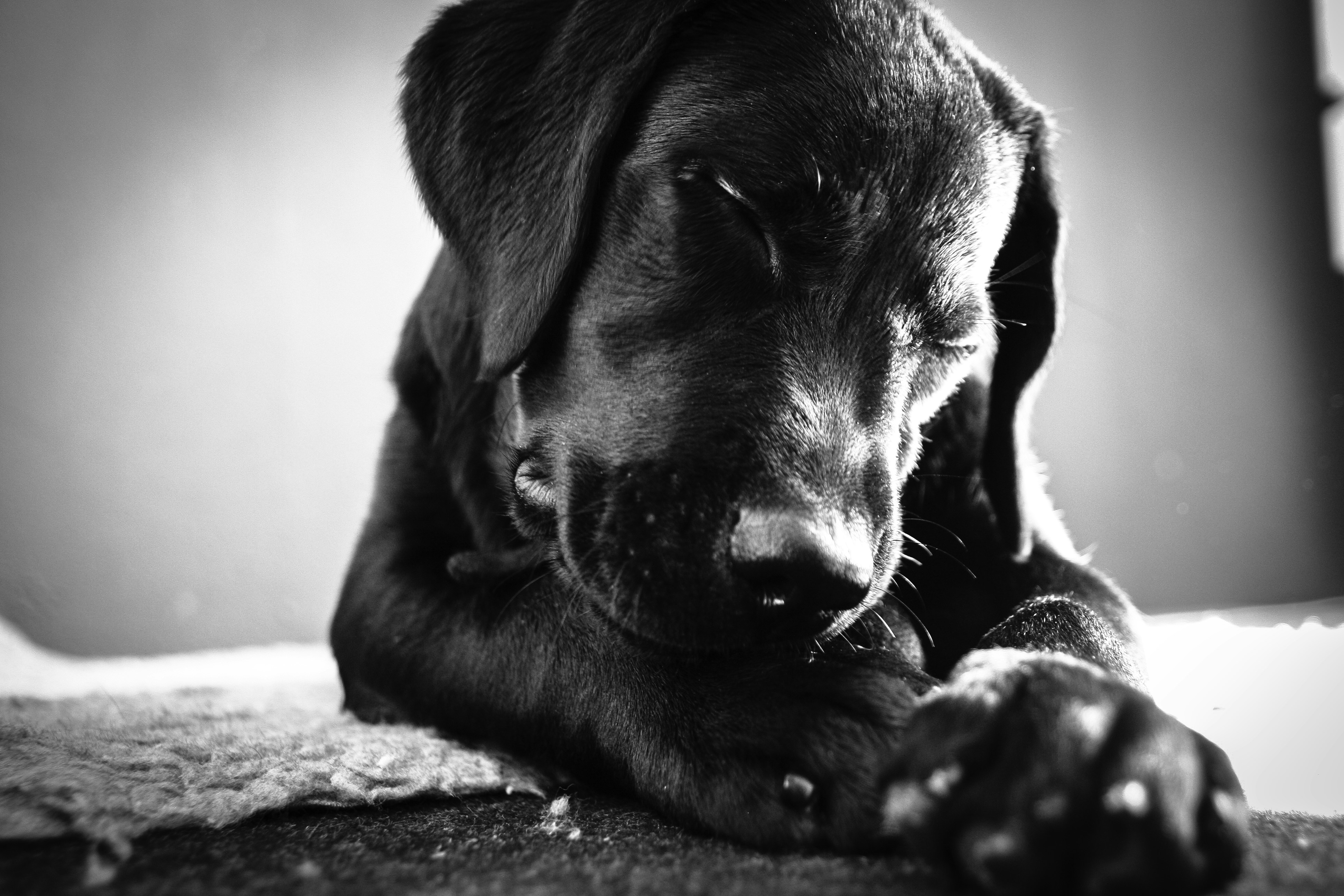 Free Unsplash photo from Ruth Wong