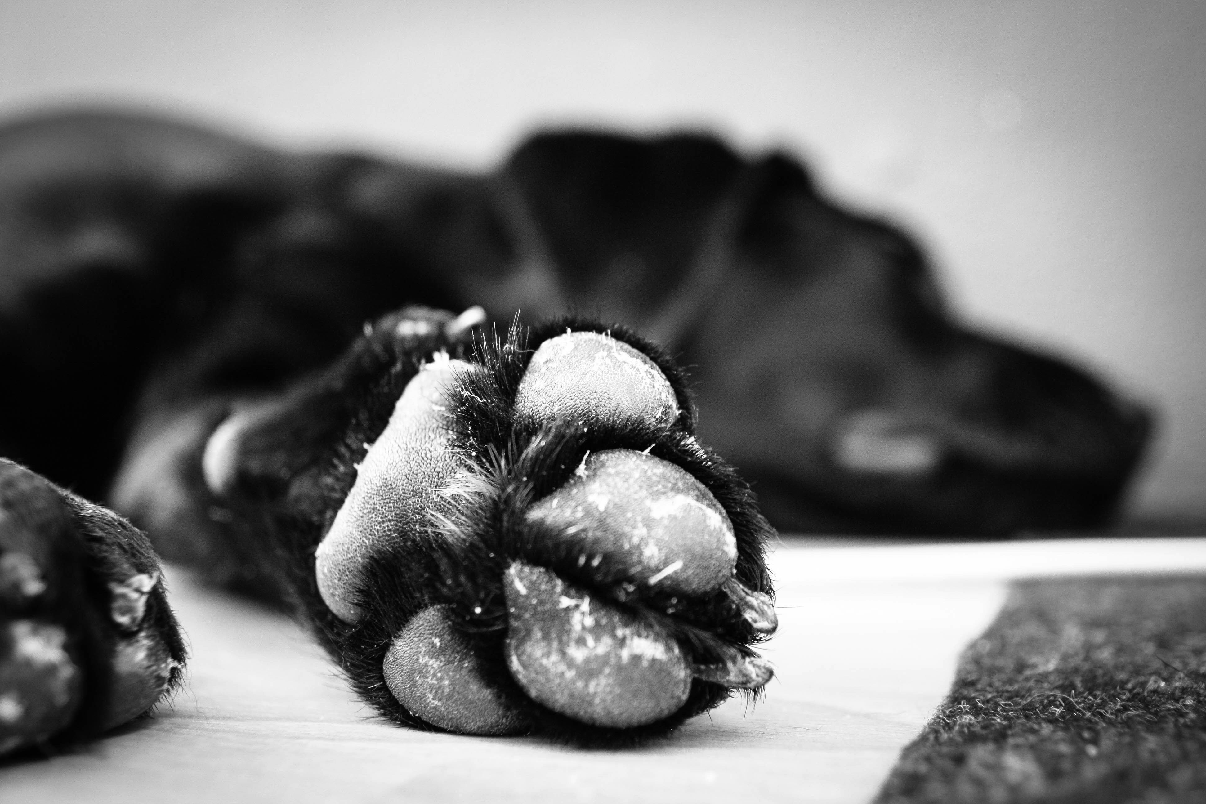 Free Unsplash photo from Ruth Wong