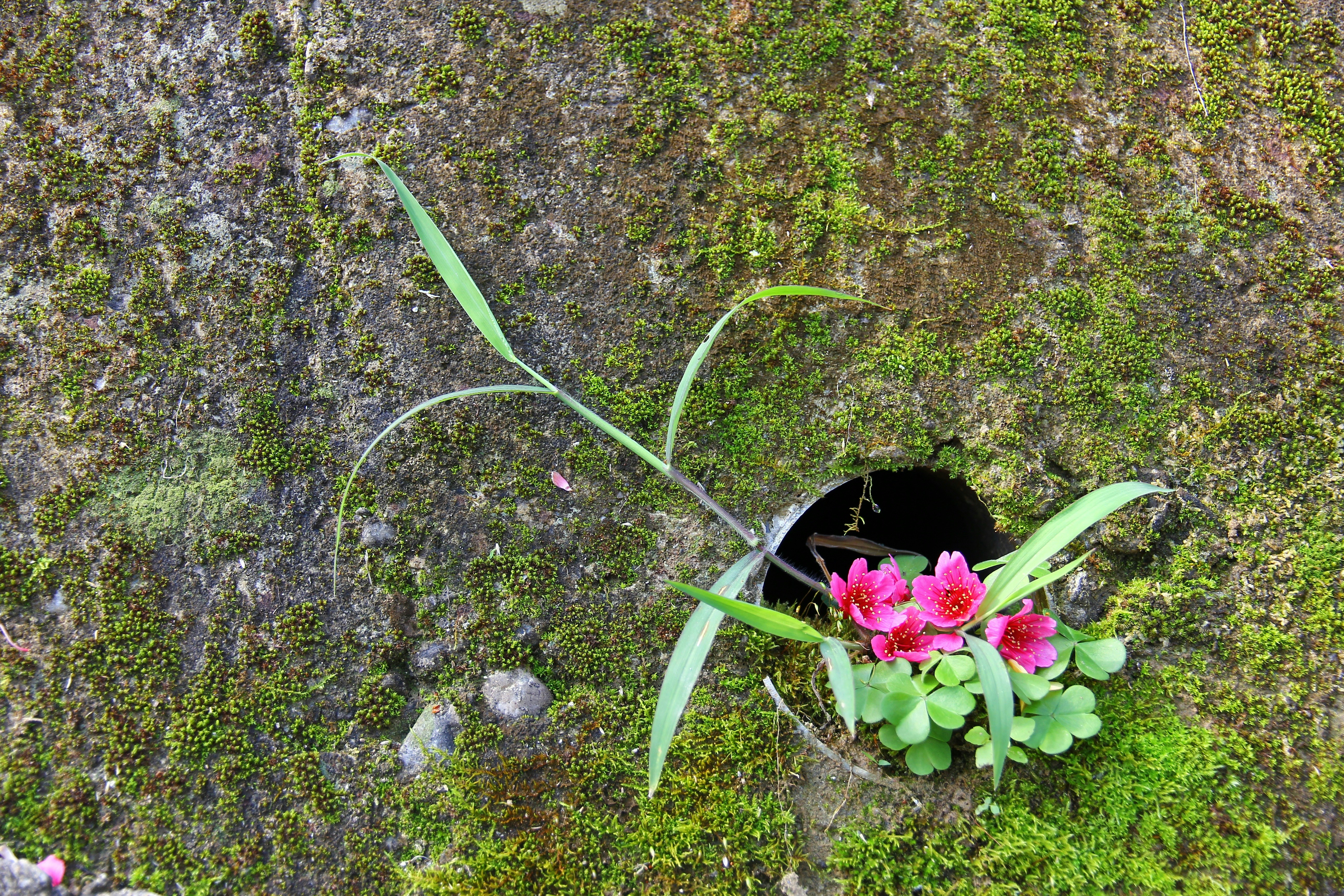 Free Unsplash photo from Claire Kennedy