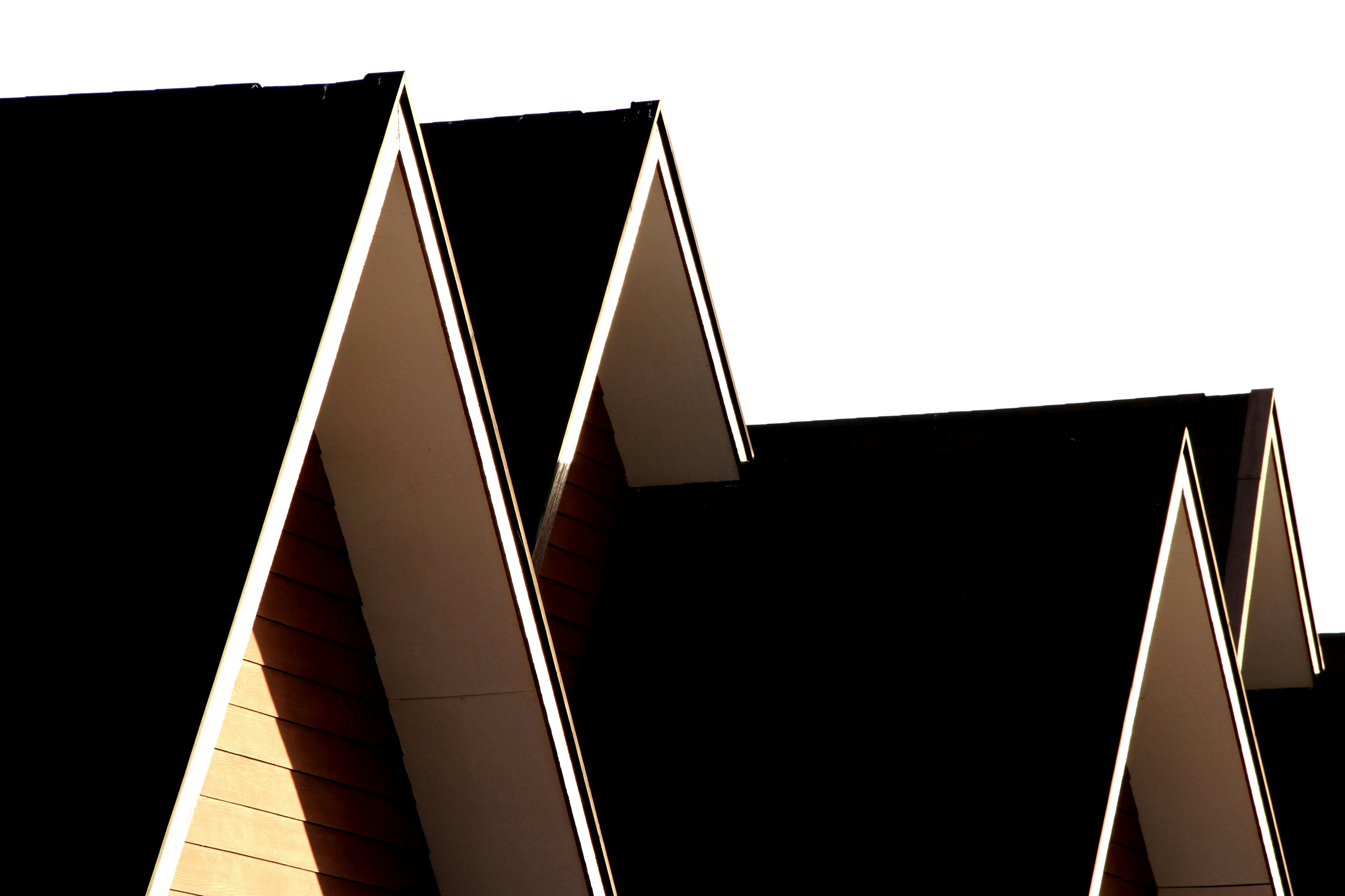 Photo By Marcela Andrade