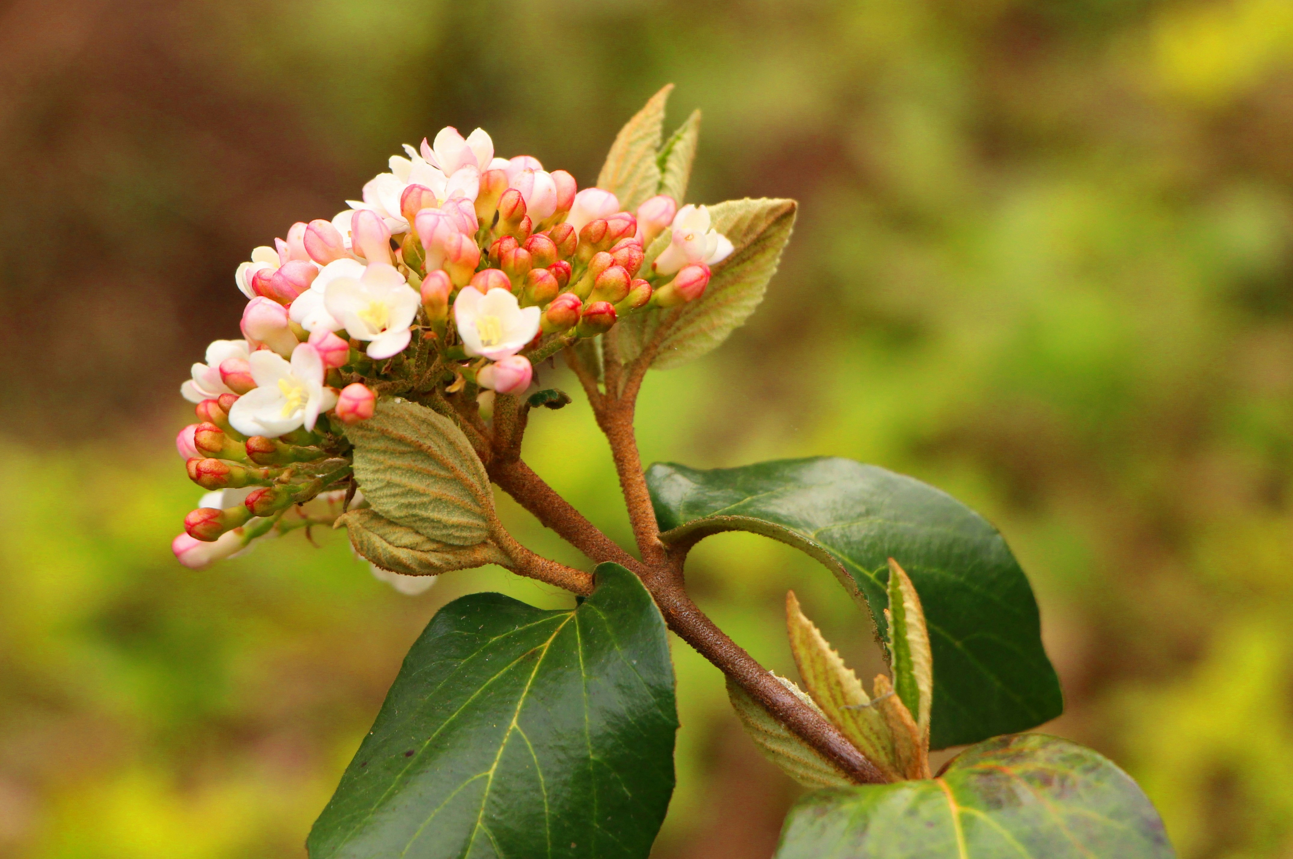 Photo By Marcela Andrade