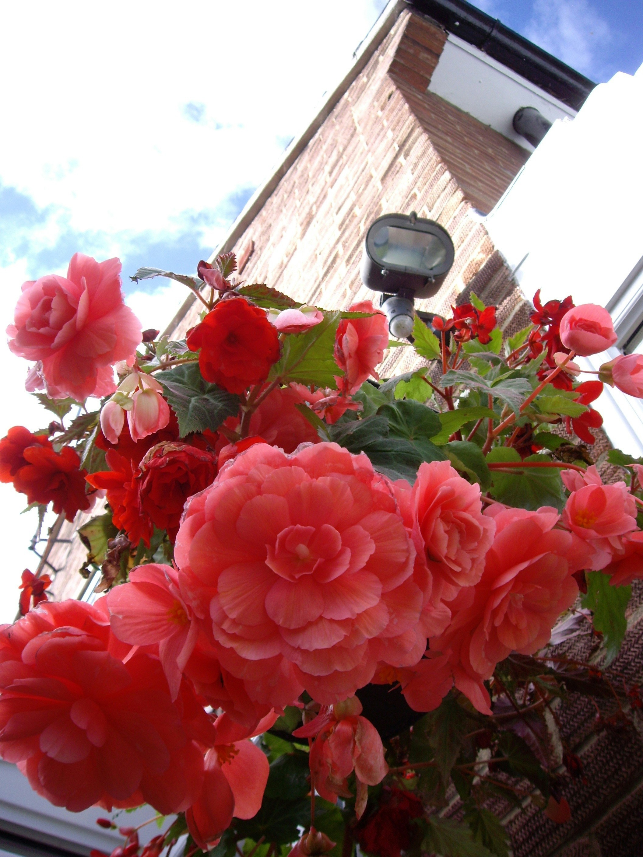 Free Unsplash photo from Claire Kennedy