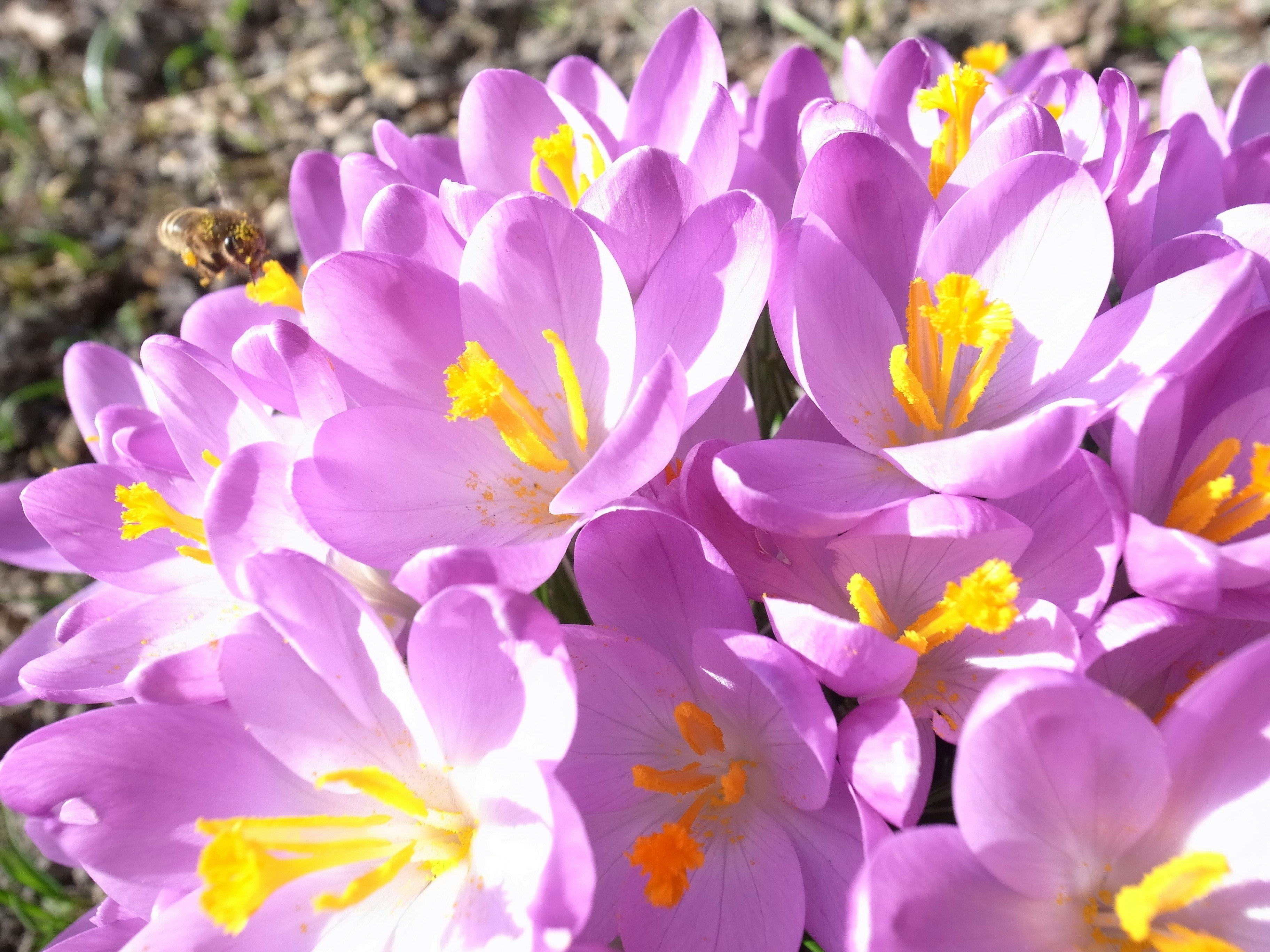 Free Unsplash photo from Claire Kennedy