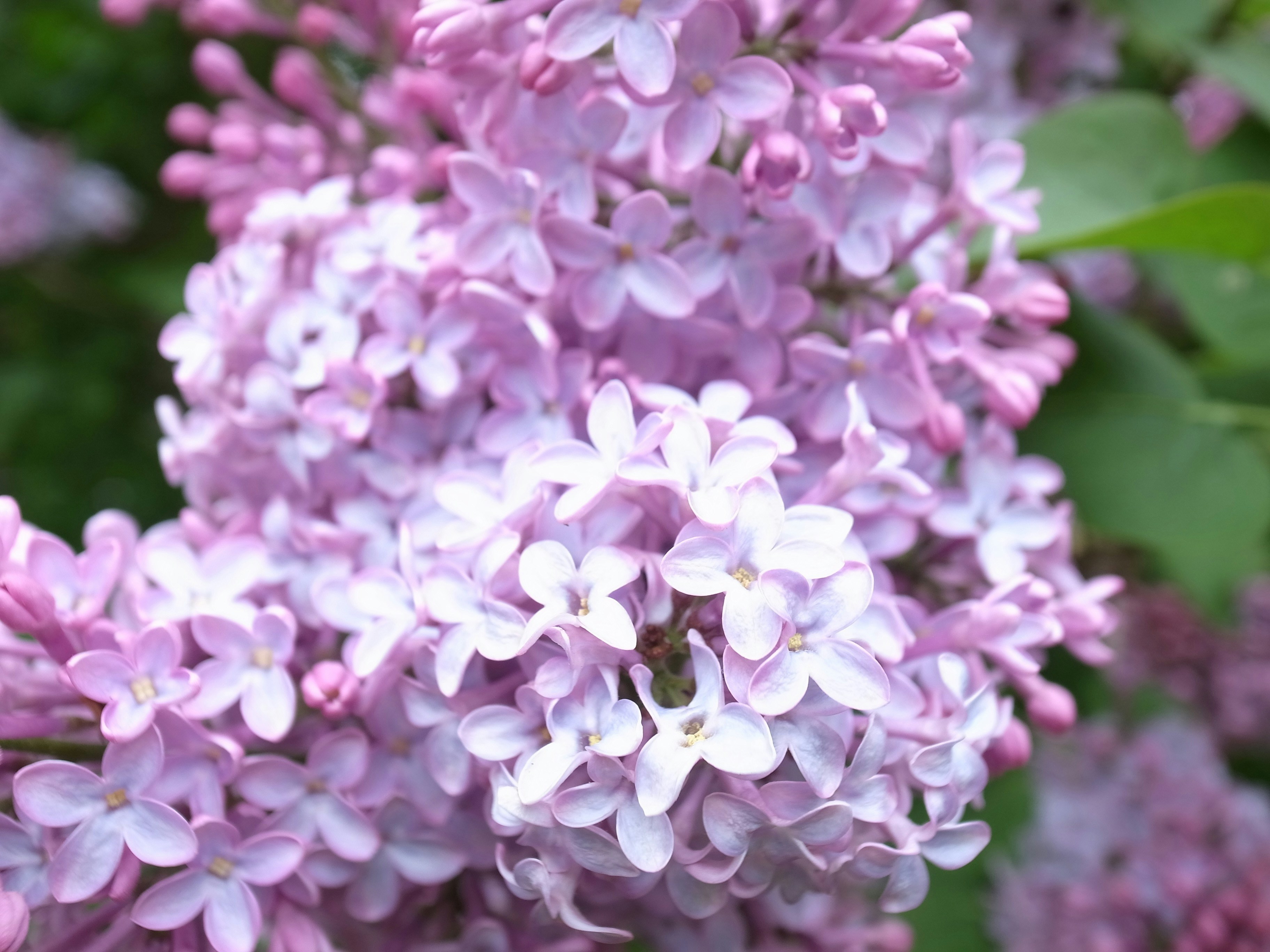 Free Unsplash photo from Claire Kennedy