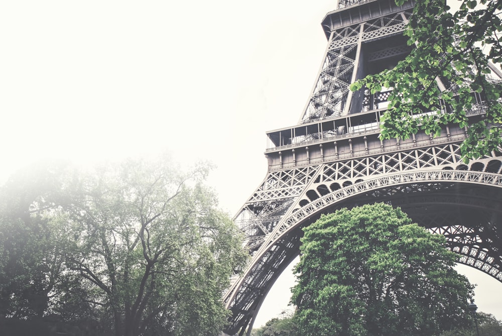 low-angle photograph of Eiffel tower