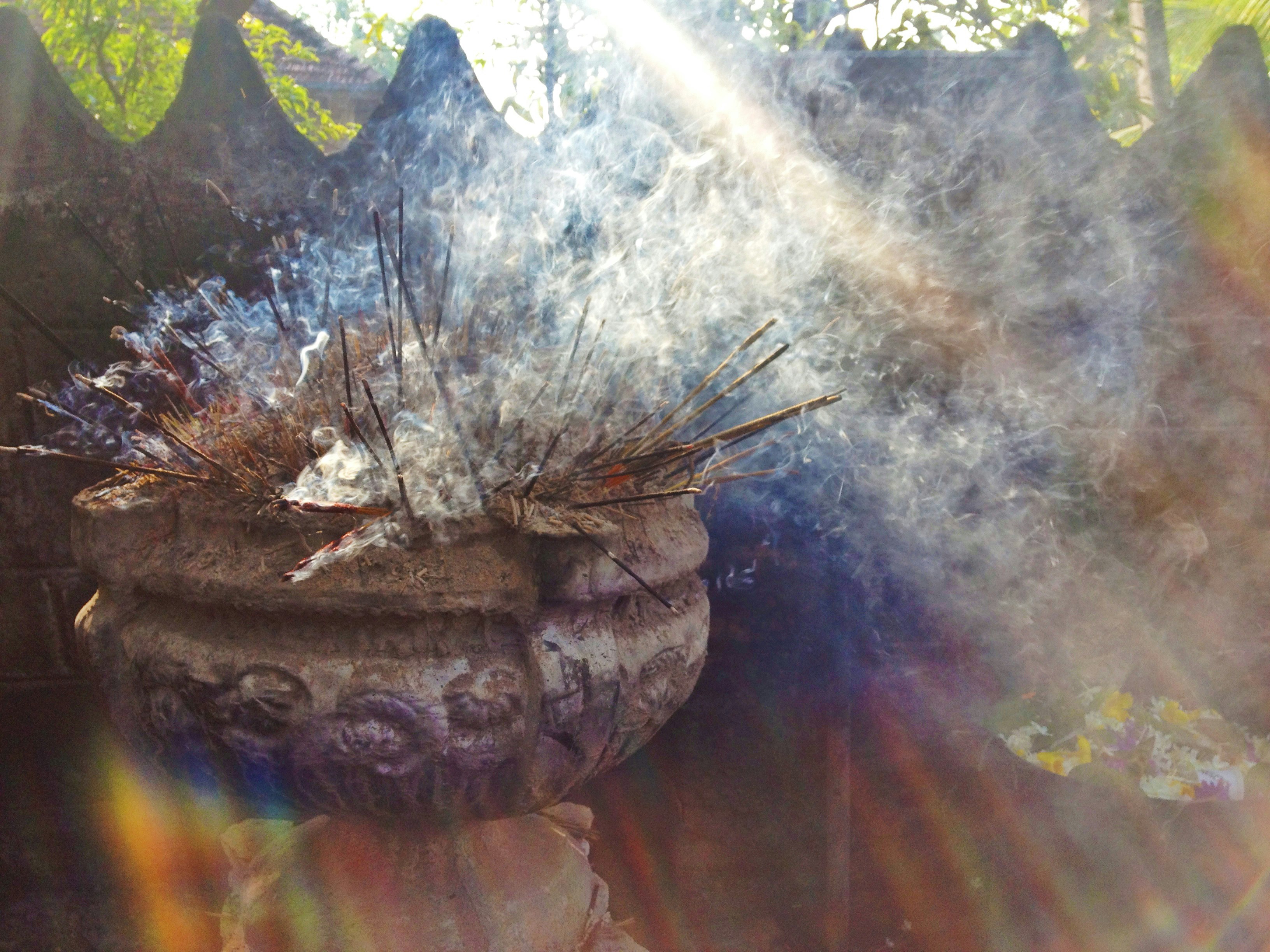 Free Unsplash photo from Uthpala Shyamendra