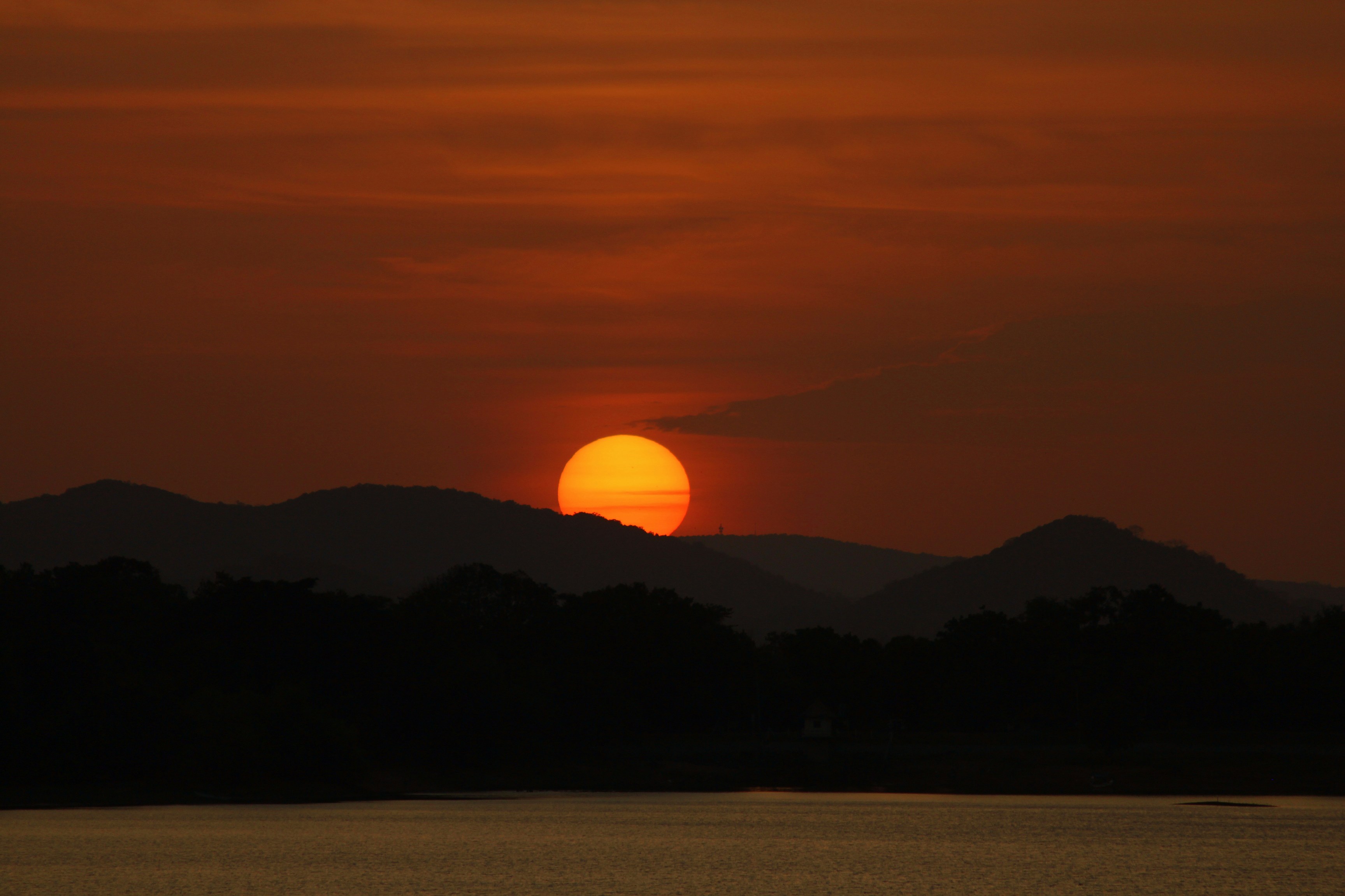 Free Unsplash photo from Uthpala Shyamendra