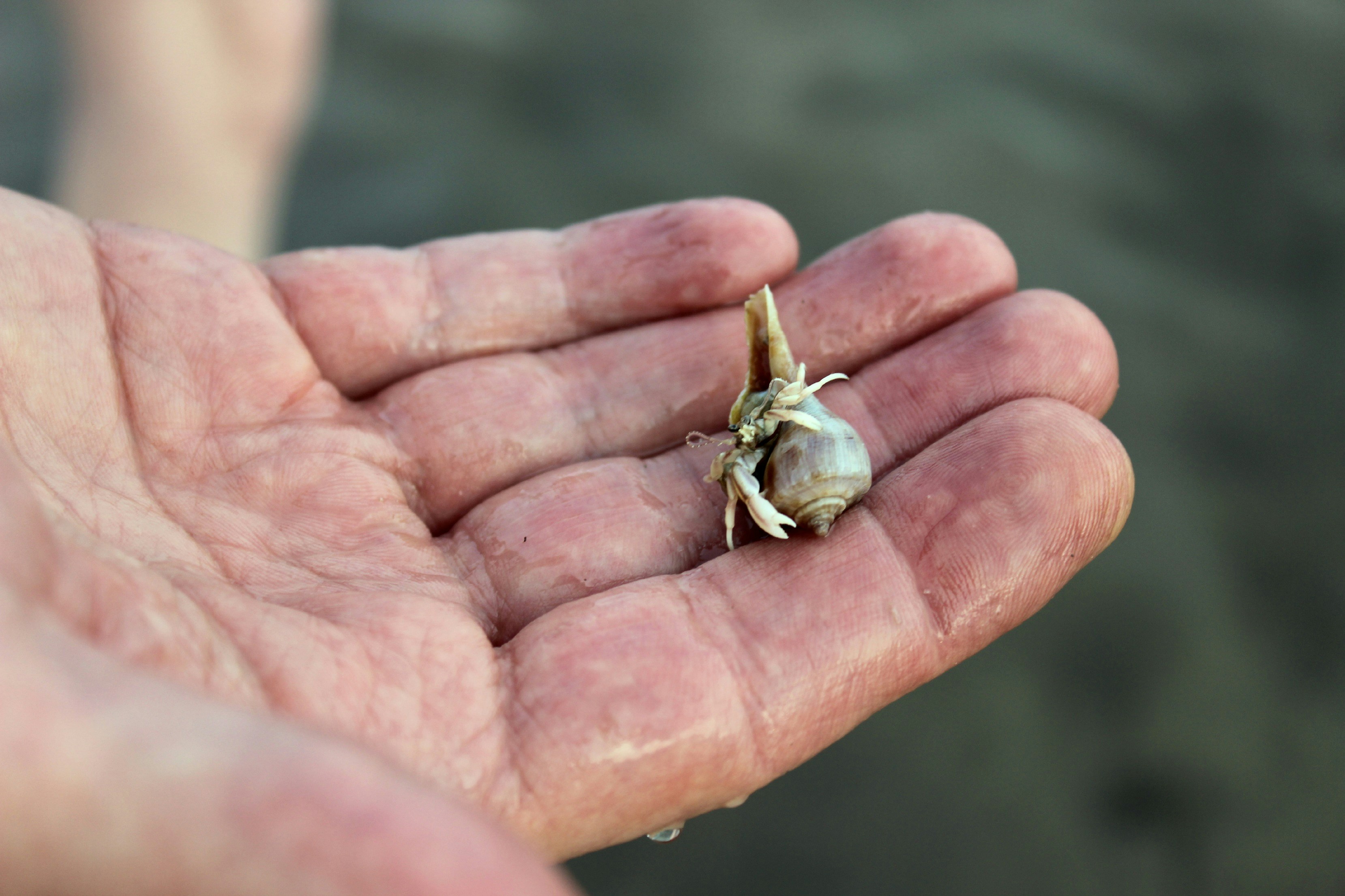 Free Unsplash photo from Lindy Baker