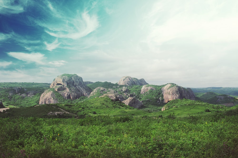 Felsen umgeben von grüner Wiese unter blauem Himmel