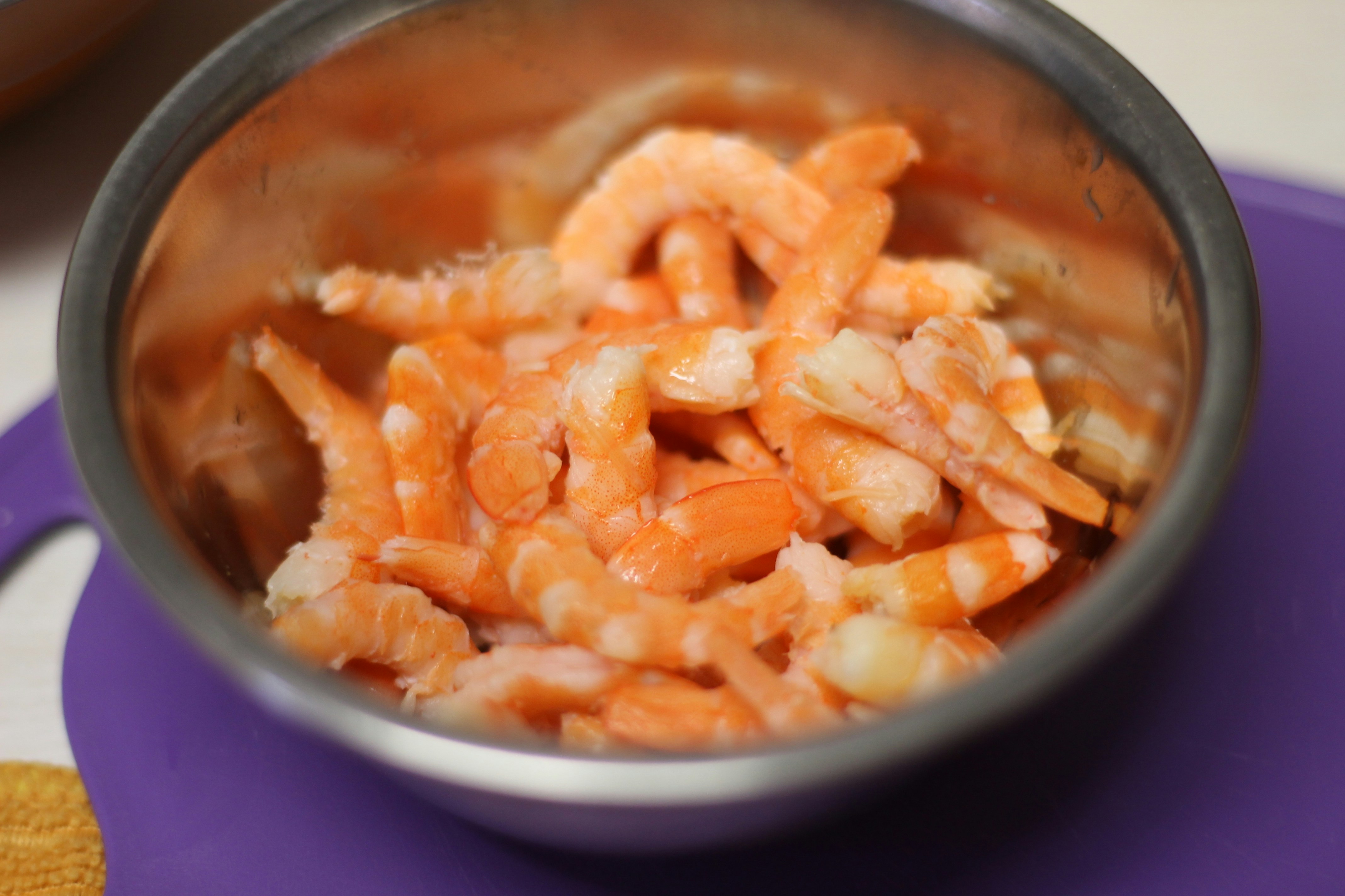 Free Unsplash photo from Rogers Neves