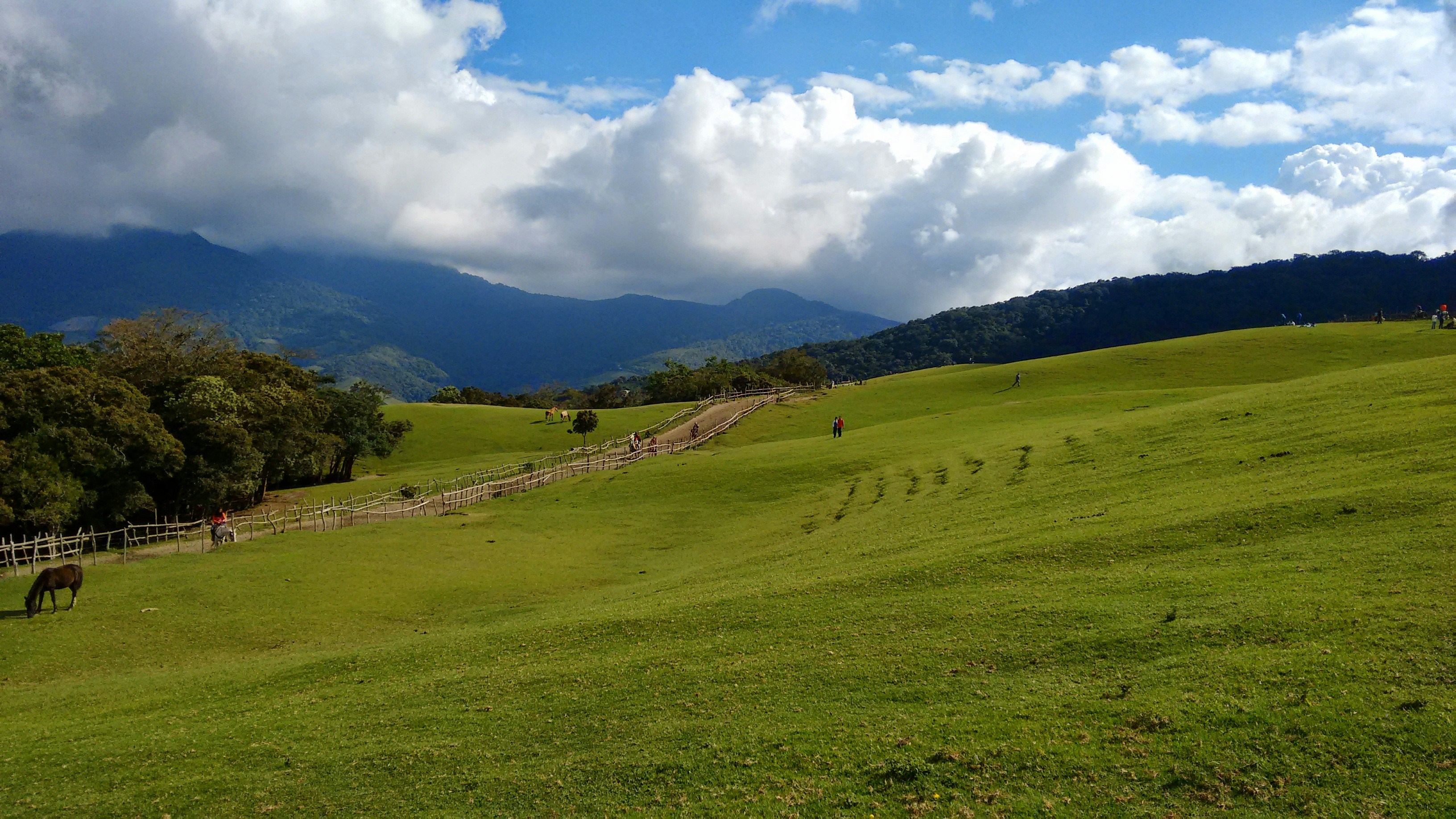 Free Unsplash photo from Cesar Marchan