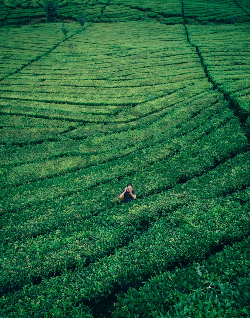 fotografia aerea dell'uomo in mezzo al campo vegetale che tiene la macchina fotografica