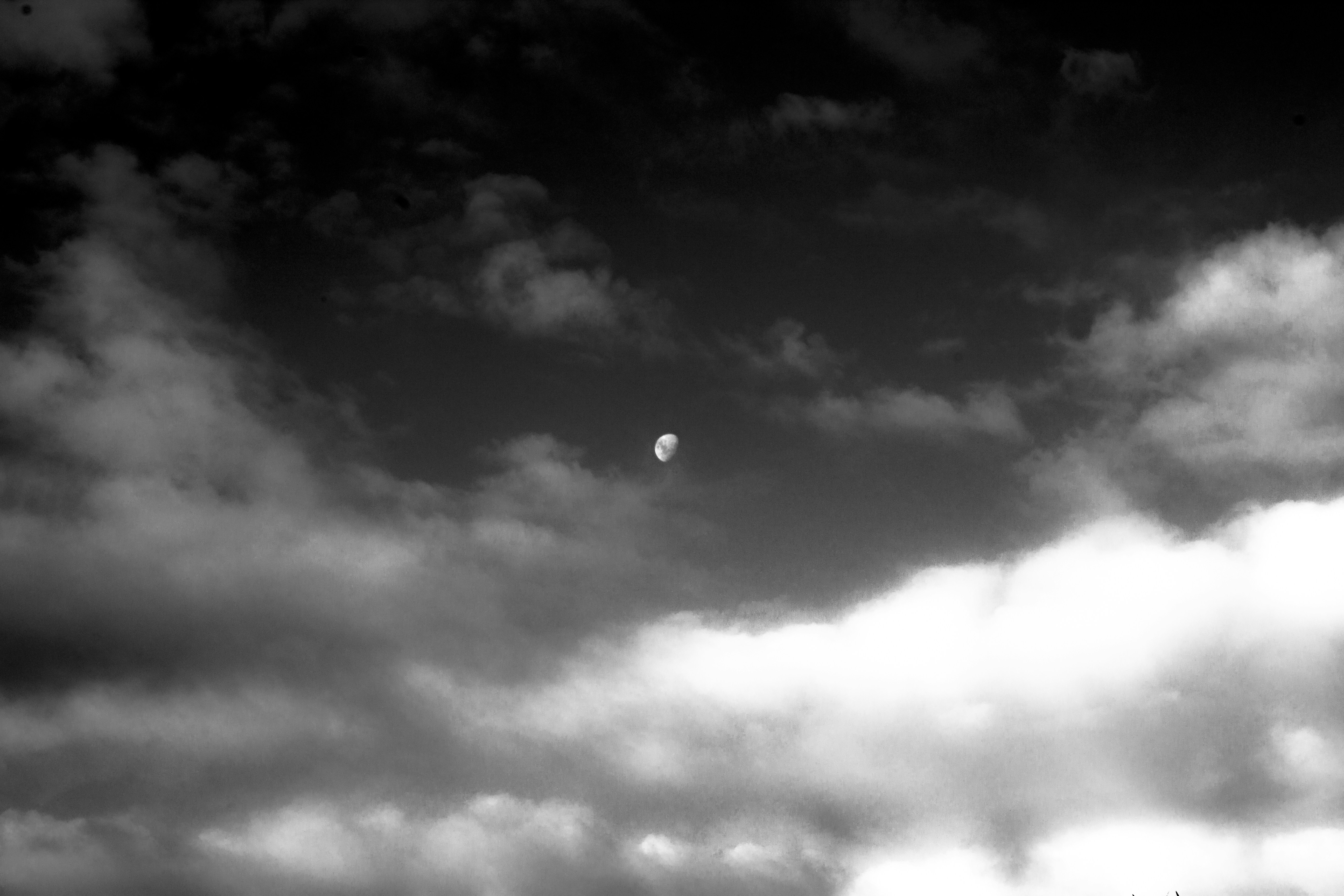 Free Unsplash photo from Matty Sievers