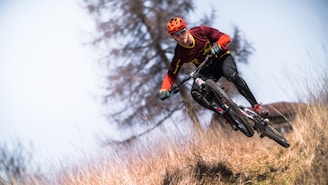 A person wearing a red helmet and red and black sports attire is riding a mountain bike downhill on a grassy path. The background features a blurred, tall tree and a clear blue sky, emphasizing motion and speed.