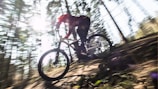 A dynamic shot of a rider gliding on a forest trail.
