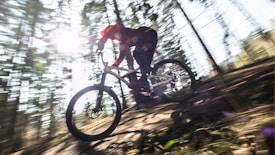 A cyclist speeds down a forest trail on a mountain bike, with a blur effect capturing the motion. Sunlight filters through the tall trees, creating a dynamic and energetic scene.