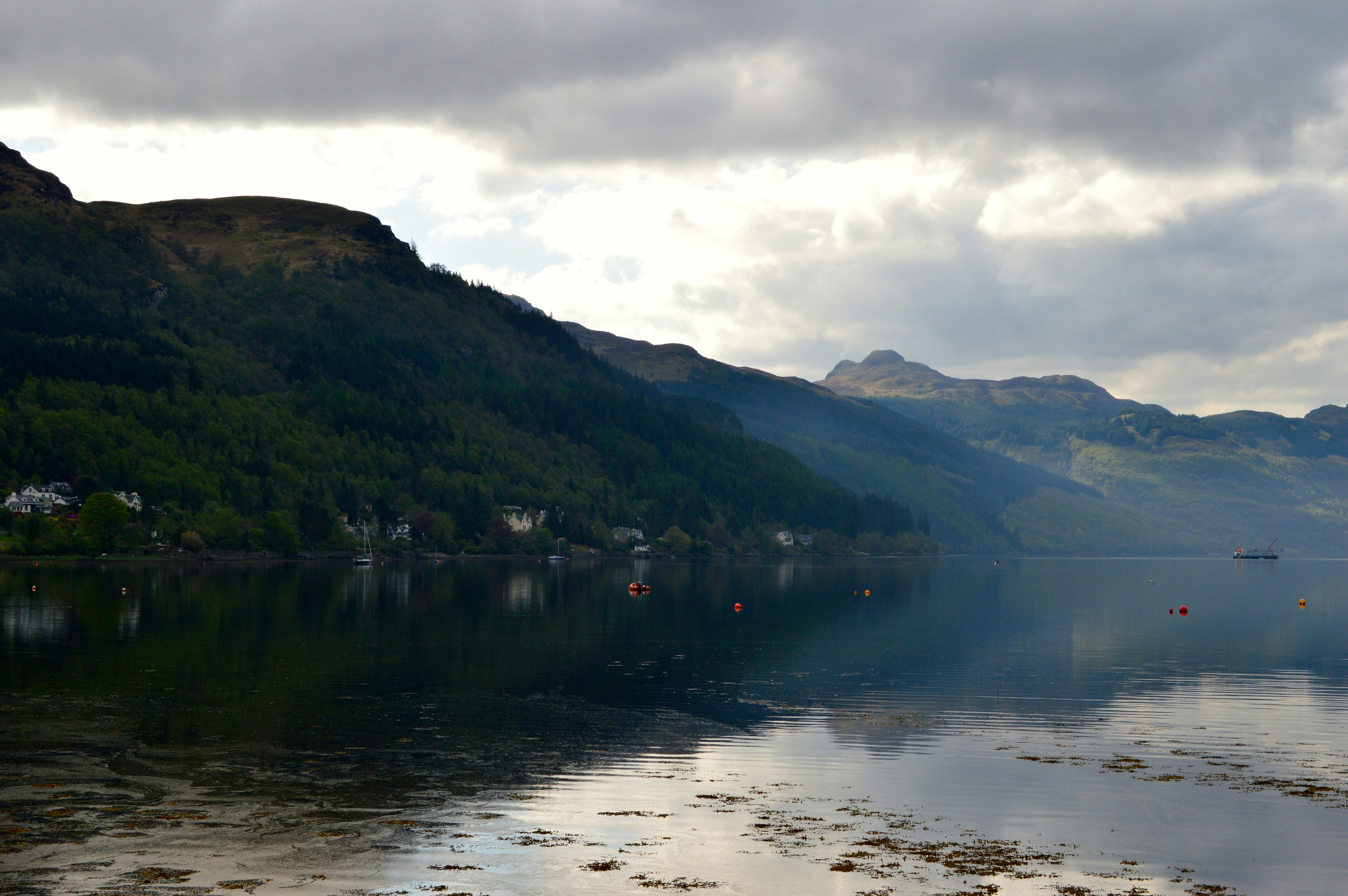 Free Unsplash photo from David Rabone