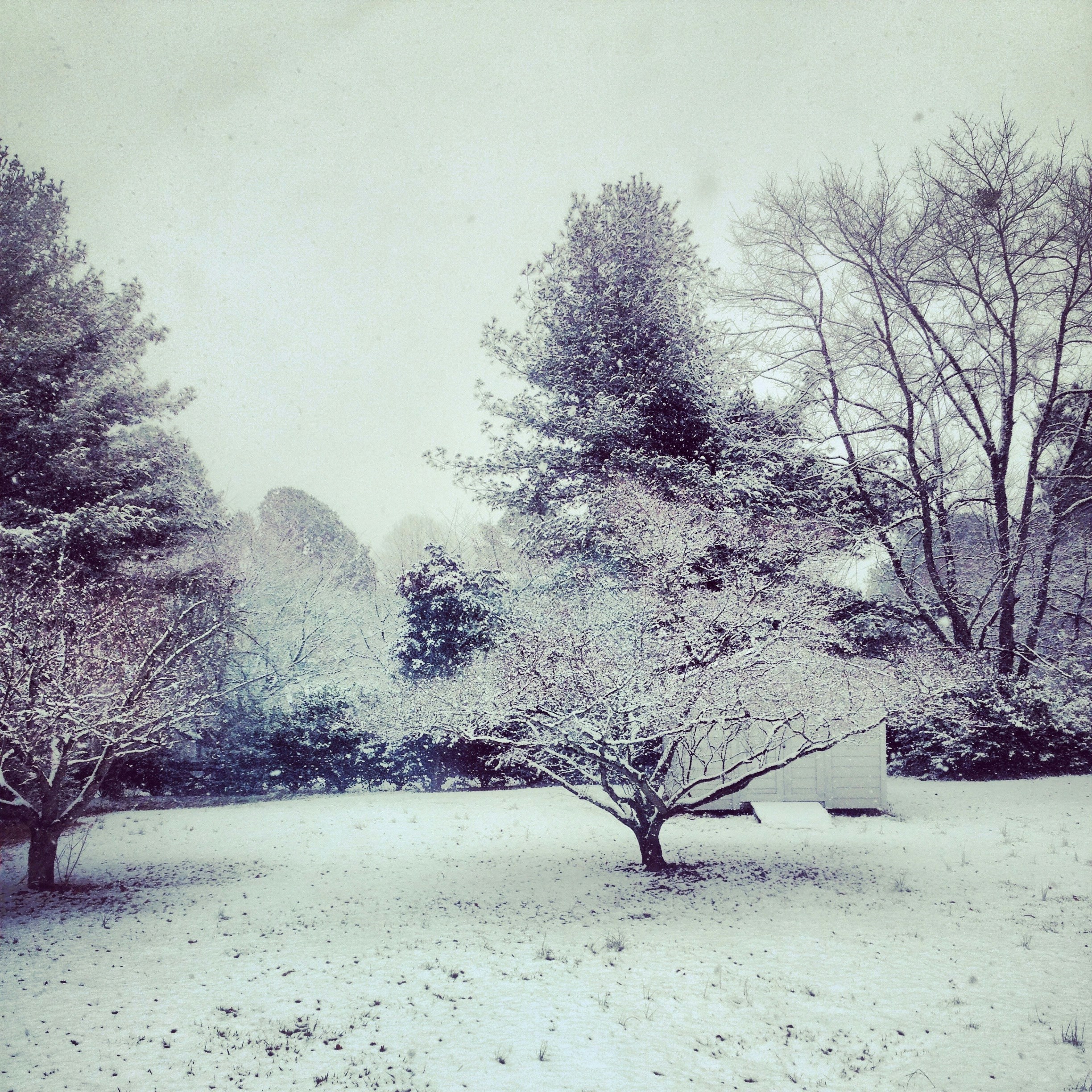 Free Unsplash photo from Sarah Alyce