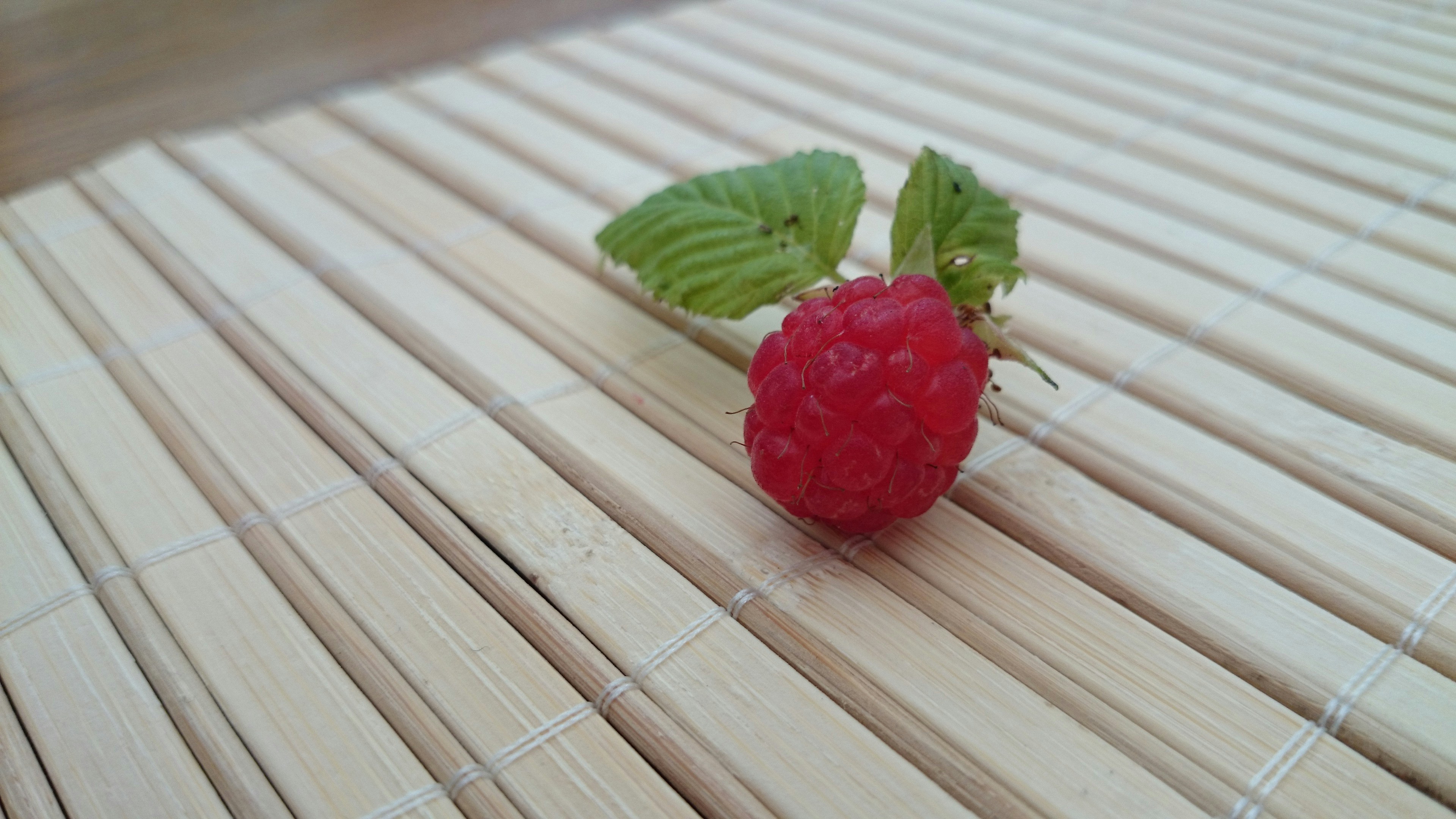 Free Unsplash photo from Claire Kennedy