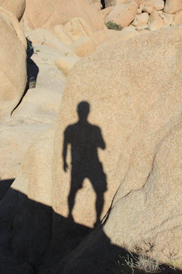 Sunlight casting shadows on a massive carved stone face in the desert.