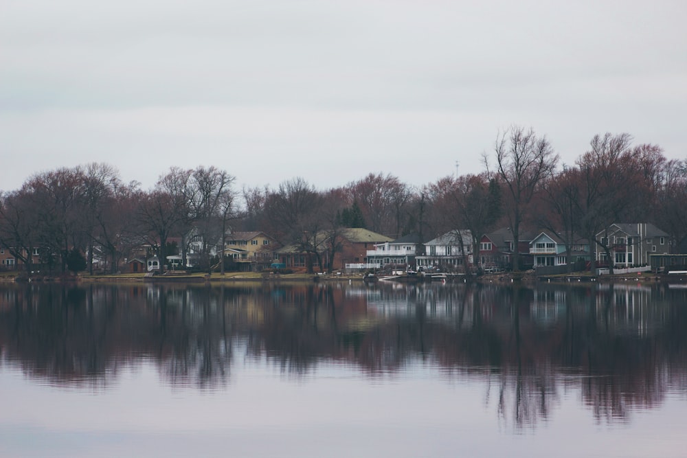 Casas cerca del lago durante el día