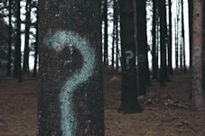 forest trees marked with question marks