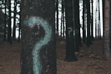 forest trees marked with question marks