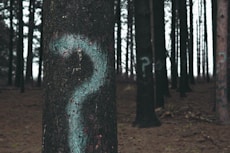 forest trees marked with question marks