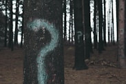 forest trees marked with question marks