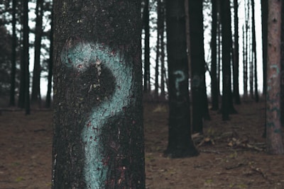 forest trees marked with question marks