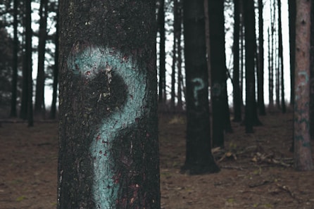 forest trees marked with question marks