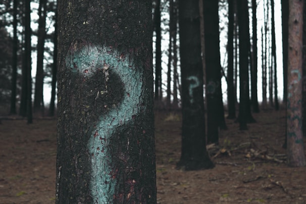 forest trees marked with question marks