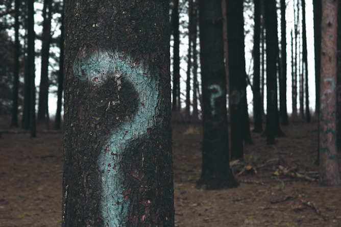 forest trees marked with question marks