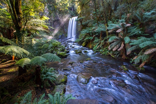 waterfalls between grass and trees at daytime in Hopetoun Falls Australia