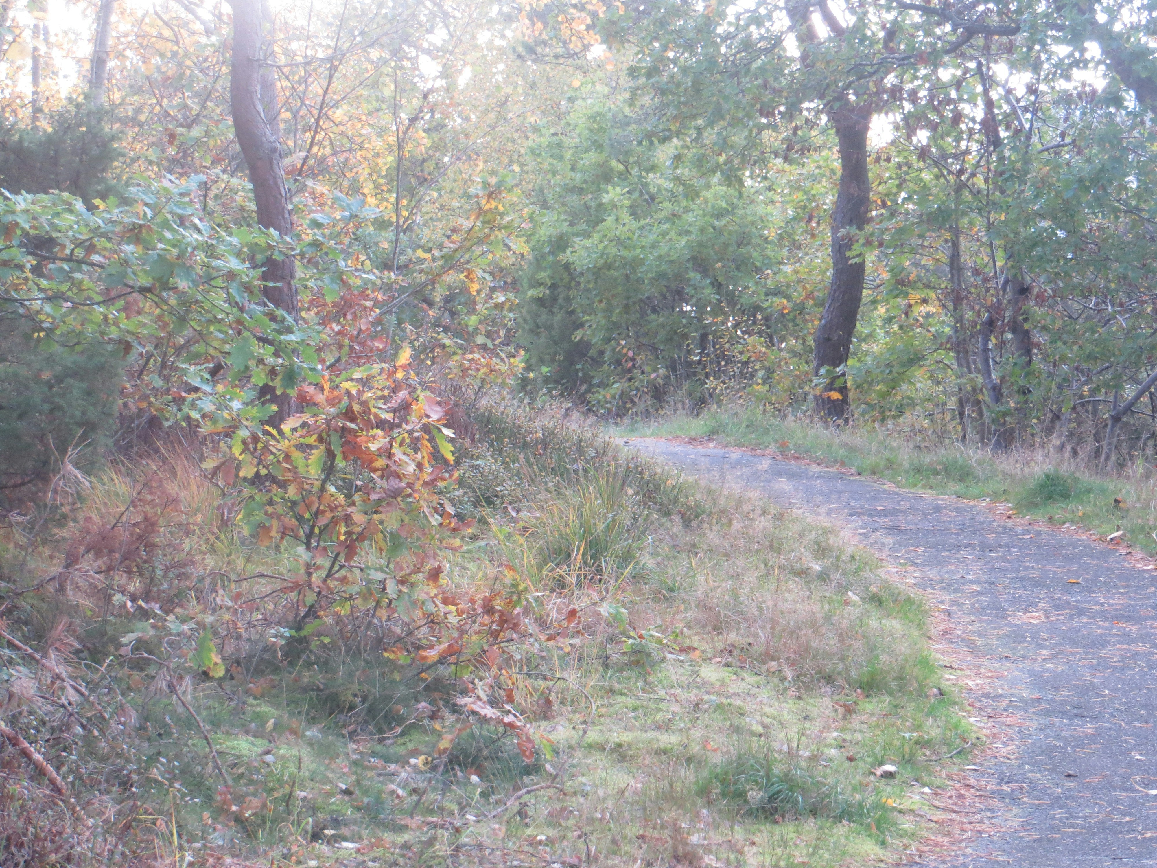 Free Unsplash photo from Fehret Kendic