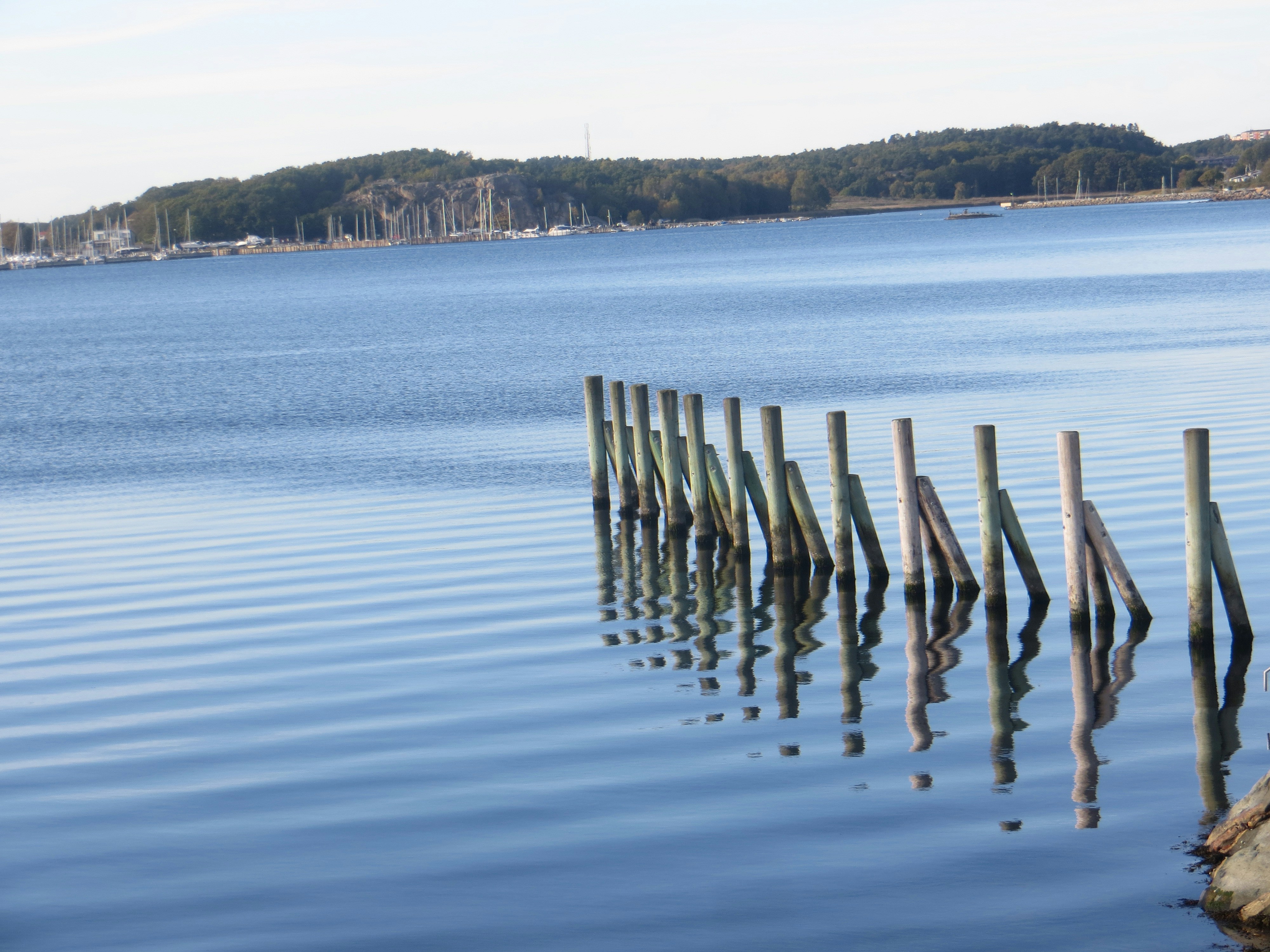 Free Unsplash photo from Fehret Kendic