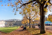 A vibrant park scene during autumn showcases people walking, sitting, and socializing amidst the fallen leaves and colorful trees. In the background, a large historic building stands majestically, surrounded by rolling hills. The clear blue sky and bright daylight add to the lively atmosphere.