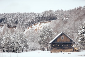 drewinany domek posypany sniegiem na tle lasu