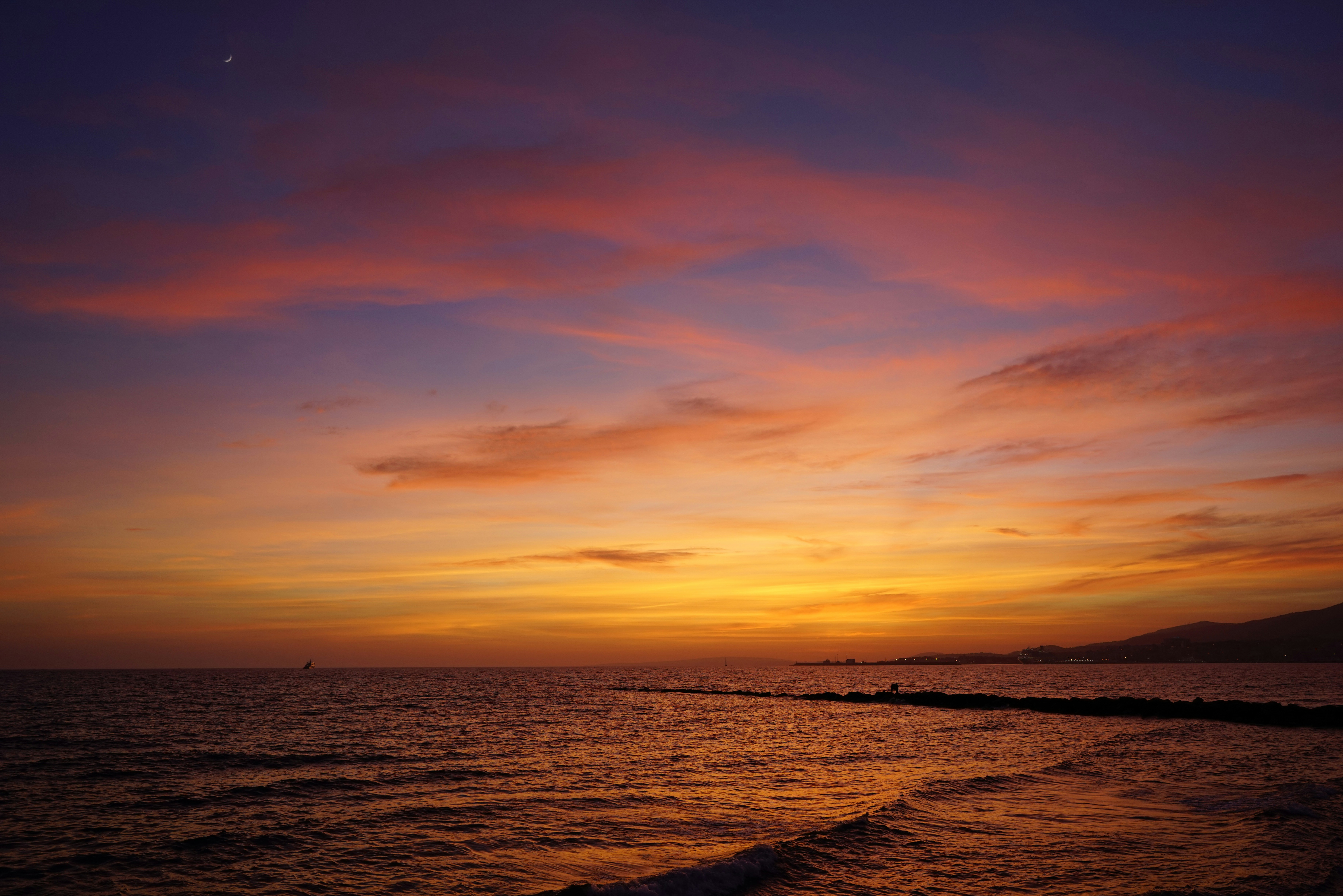 Free Unsplash photo from Oscar Valenzuela